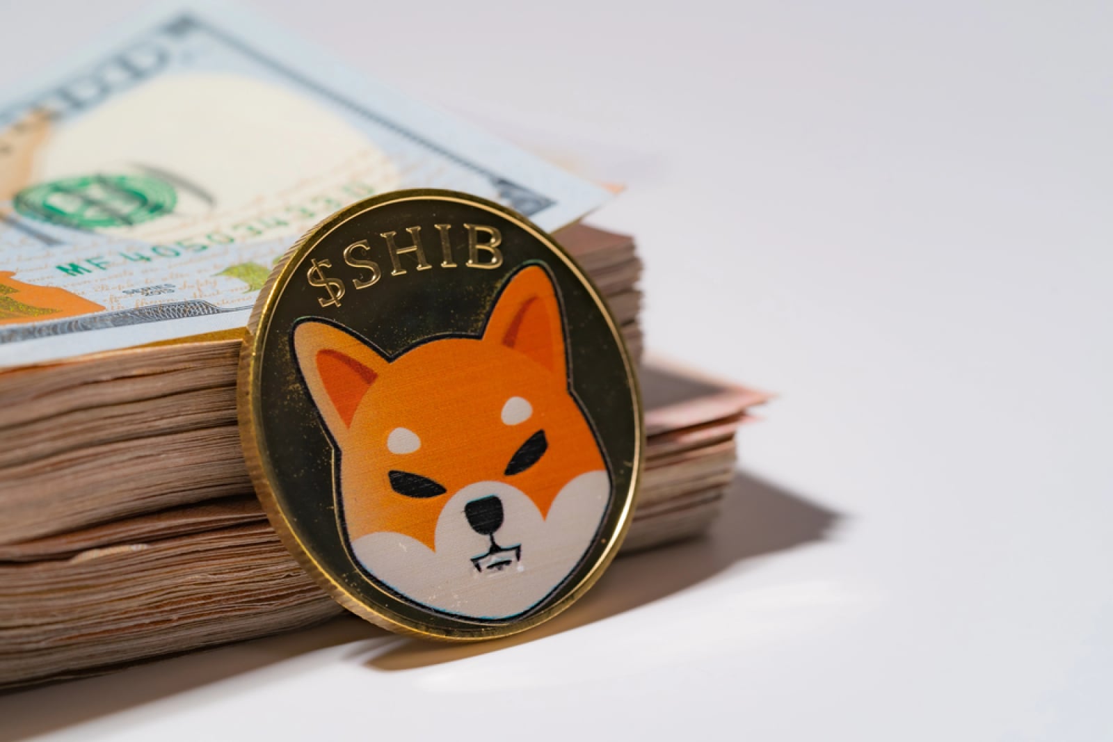 Shiba Inu: Spot-Flow-Daten zeigen kurzfristigen Abwärtsdruck – Was Anleger erwarten sollten